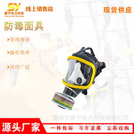 大视野硅胶防毒面具化工喷漆农药防护口罩防甲醛防护面具