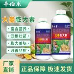生姜专用肥生姜叶面肥地下根茎膨大素大姜膨大剂生根壮苗水溶肥料