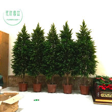 仿真柏树松树枝苗杉树松叶子假刺柏塔柏装饰塑料玻璃钢大型柏树