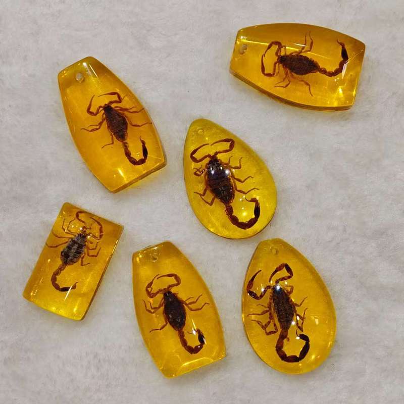 厳選された昆虫琥珀標本、サソリ、蝉、ブラインドボックス、子供向けギフト、教科書、学習、発掘、考古学的ペンダントアクセサリー|undefined
