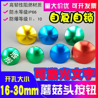 16/19/22mm30MM防水小型按钮蘑菇头金属按键开关点动自动复位自锁