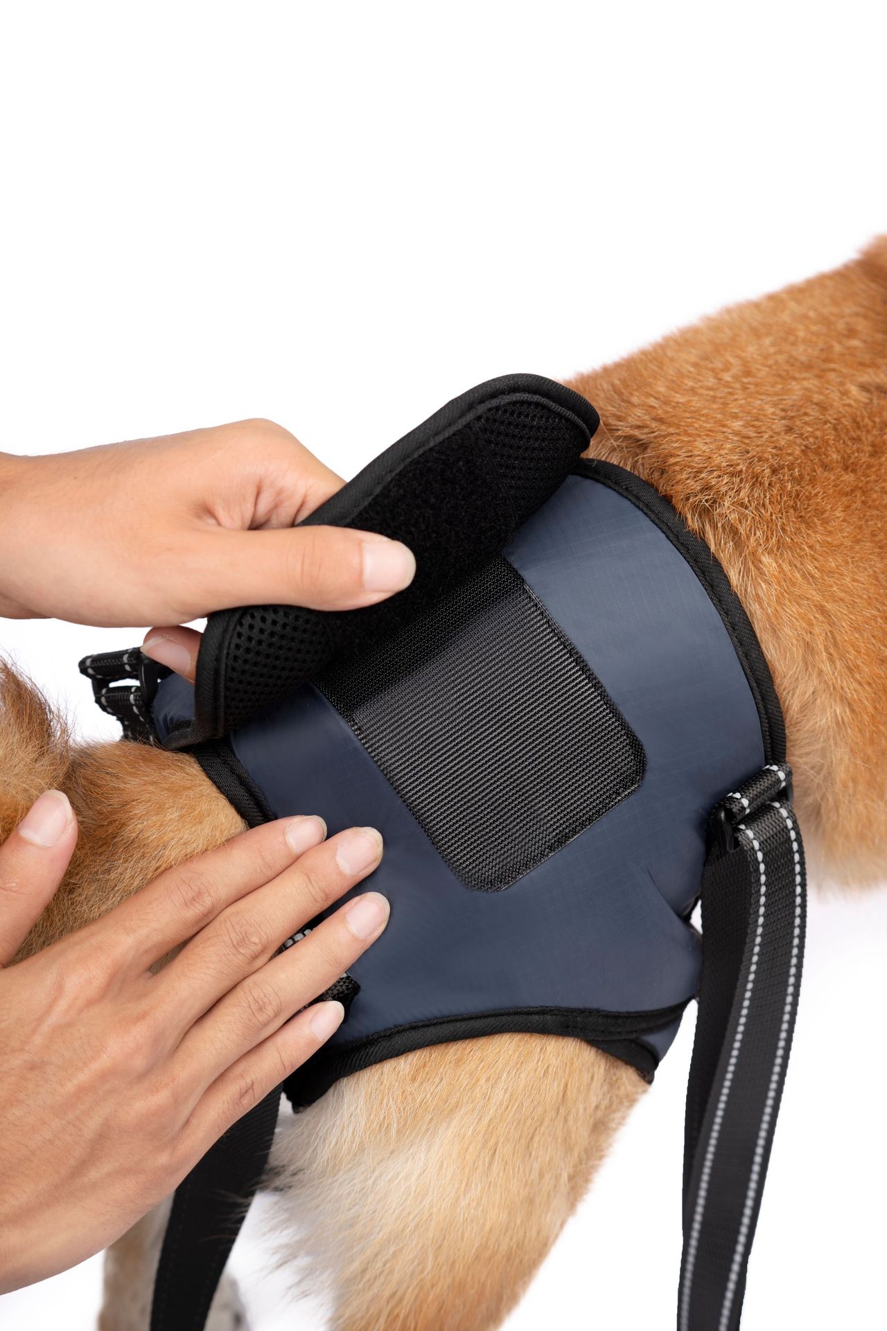 Cinto de suporte para patas traseiras de cães idosos_voghion.com