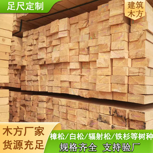 �S�����l���Bľ������ݗ���ɰ����Fɼ��������ľ���̷�ľ��׃��