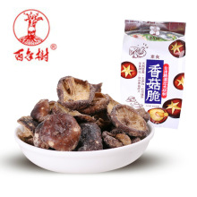 ������㹽���㹽��4������I�B����ֹ�׷�����e׷���؂�