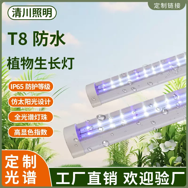全光谱T8植物灯补光灯组培灯管育苗蔬菜叶类生长灯IP65高防水等级