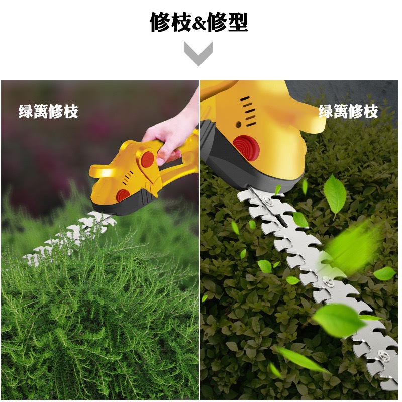微信图片_2025-04-25_170005_600.jpg