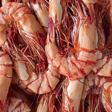 ��ɾŹ����r��ʳ���r�ش�߹����r��؛���e��ʳ�L��