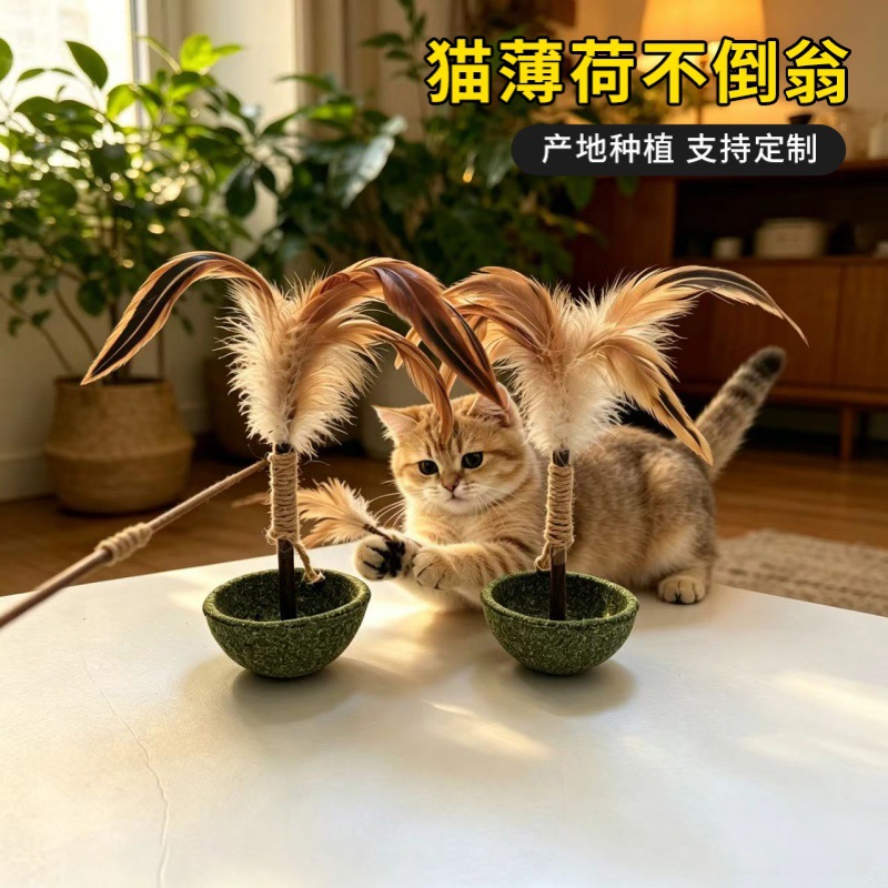 微信图片_20260606190448_1092_781 -
