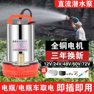 High Lift Dc Submersible Pump 12V24V Household 48V60V72 Water Pump Agricultural Electric Tricycle