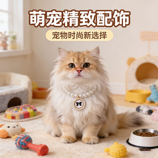 �ձ�С���LС؈�������朌���ɐ��Ȧ������b�Ʒ�����Y����