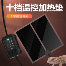 ������B�����ָ���B�������،m�}�󱣜��^��10�n�ؿؐa�ؼӟ�|