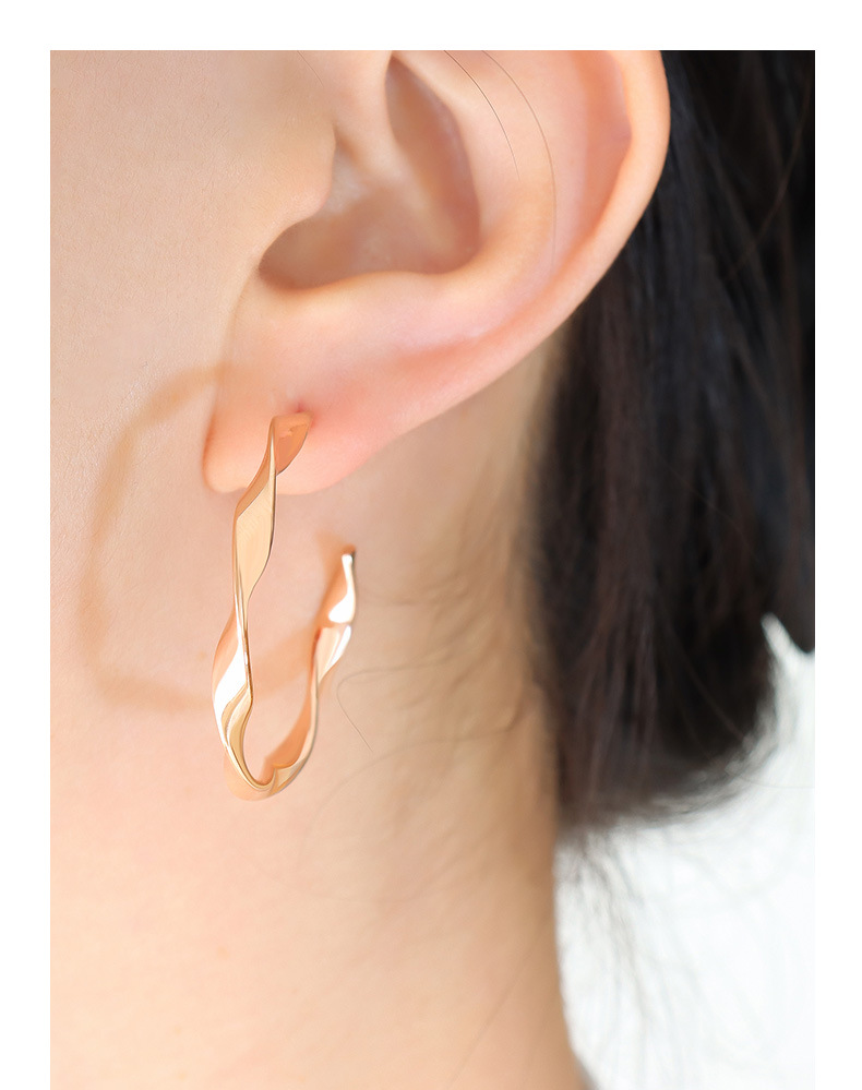 1 Paire Style Simple Forme C Tourner Placage Acier Au Titane Boucles D'oreilles display picture 3