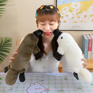 ���Q�羳����Fë�q��߻�ɫ���ӹ��Ѓ�ͯŮ���Y��������ż���l
