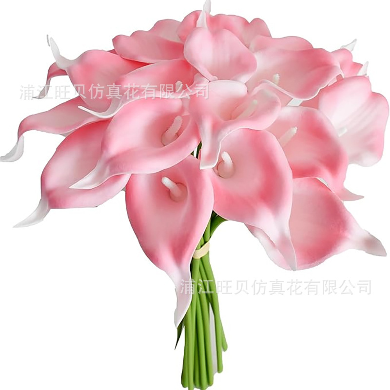 水粉色白心