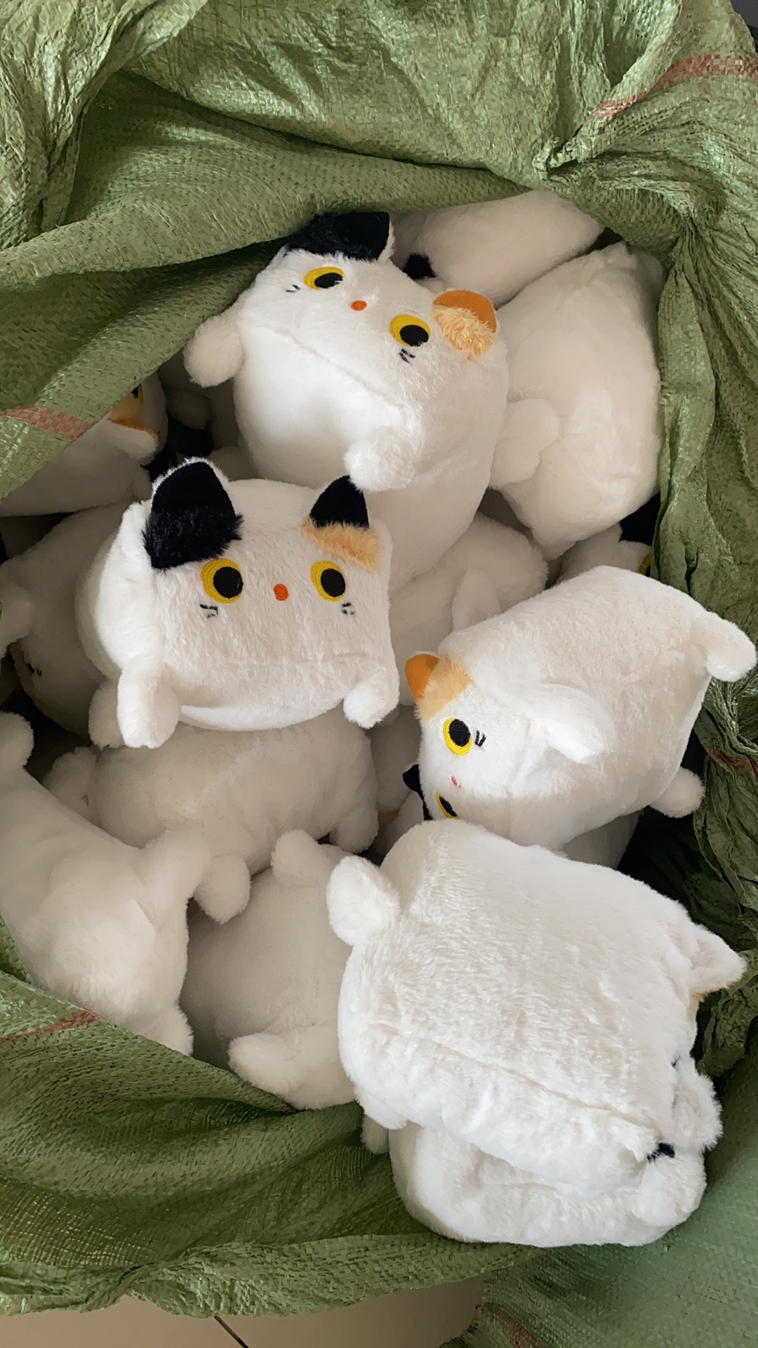 微信图片_20241227114105