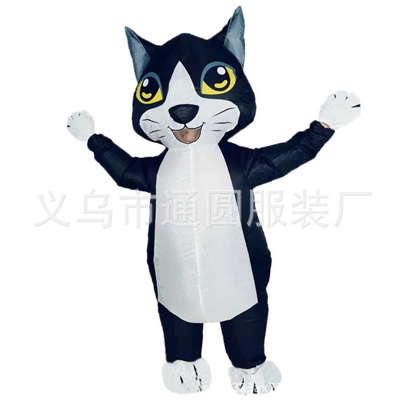 검은 고양이 성인* 엄선된 소재