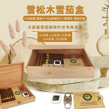 ?�a��ѩ�ѱ����ѩ��ľѩ�Ѻ�ľ�ƼӺ������ѩ�Ѵ��B�A��ľ