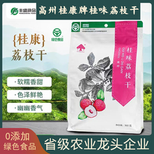 桂康牌高州根子桂味荔枝干精选肉厚白糖罂荔枝肉干绿色食品无添加