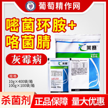 �����_ �Rِ62%�׾��h�������淬�Ѳ�ݮ���Ѱٺϻ�ù���rș������