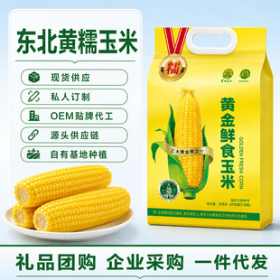 �������rŴ����8֧�|�����D����ܛŴ���r��հ��bճ���׏S�Ҵ��l