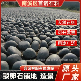 黑色鹅卵石天然户外庭院铺地原石厂家砾石造景石头室外批发鹅软石