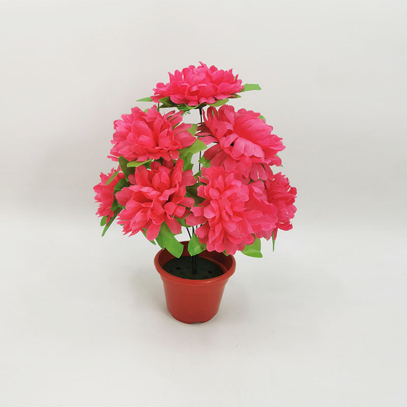 7 chrysanthemums with leaves (rose red) 1 branch - 1 branch + flowerpot quality choice