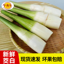 ���Fժ�F�l��������r��ɽ���׮����r���߲����������r���ԷN