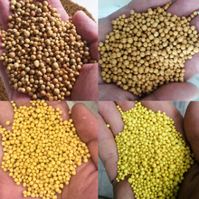 ���m���B���ܷN�˾�ጷʻ����ϼ�������ͨ���ͻ��ʵ���⛏ͺϷ�