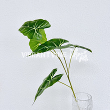 ���溣���~���Z�~����Gֲ��c�b�ֲ��[���҃��Ĕz���߾Gֲ���~