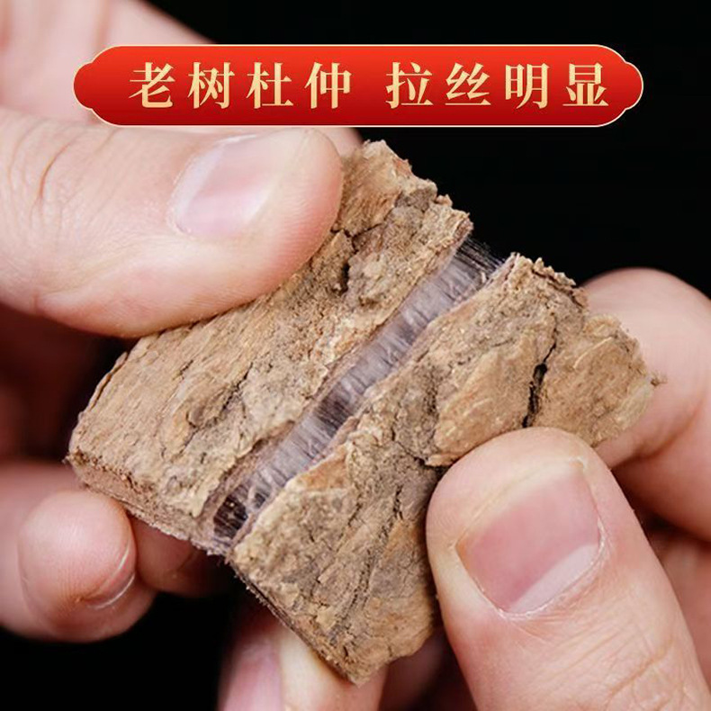 Dried Eucommia Bark Du Zhong 100g Bottle TCM Herbal Tea and Decoction Ingredient key features