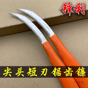 ���^砵����P���X�����K��늾�����������Ұ�˳����������X����