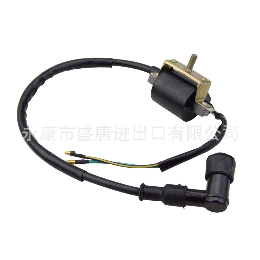 Complete Electrical Wiring Harness Rectifier Cdi Solenoid Valve Spark Plug Suitable for 50Cc-125Cc Atv Power Supply