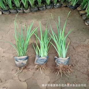 �R�m����С�^˽��ͥԺ�ͺ��������޸������R�A�����R�m�����l�Rɏ