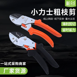 修枝剪;手锯、木工锯;其他园林工具