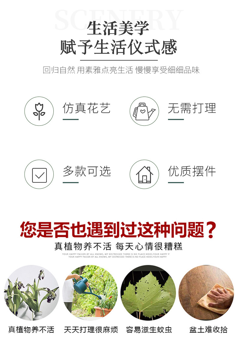 详情 (2).jpg