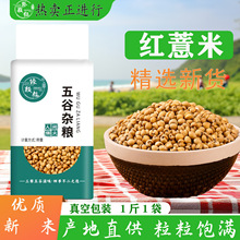 ��հ��b�t޲����؛���ా��ԭ��������s�Z�t��޲�׼t޲��о�F؛