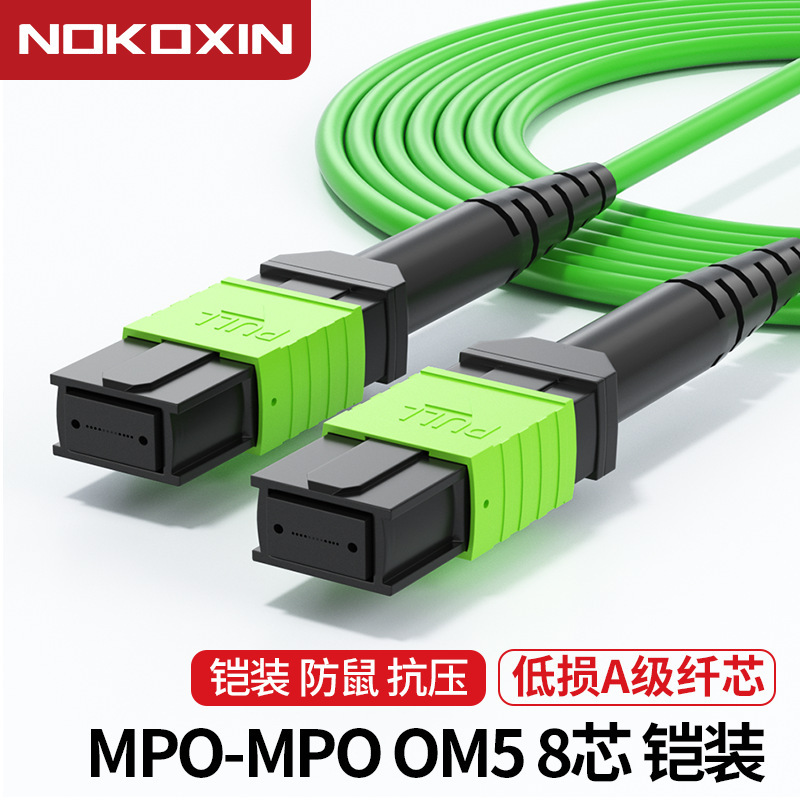 Mpo/Mpt Fiber Optic Patch Cord Armored 8/12/24 Core Om5 Multimode 40/100/200g Data Core Connection Cable