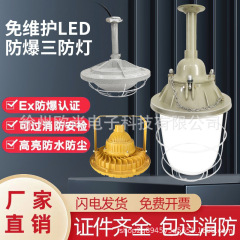 Led防爆灯ランプカバー化学工業防水防湿三防国標倉庫工現場防爆型オイルステーション照明灯