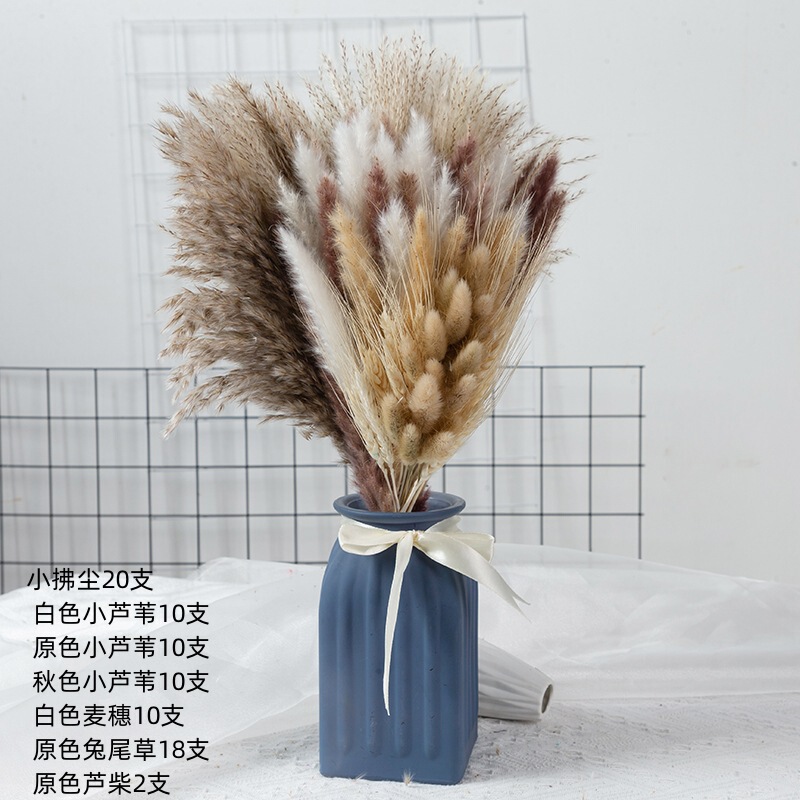 アマゾンはよく売れています。葦の花の花束です。|undefined
