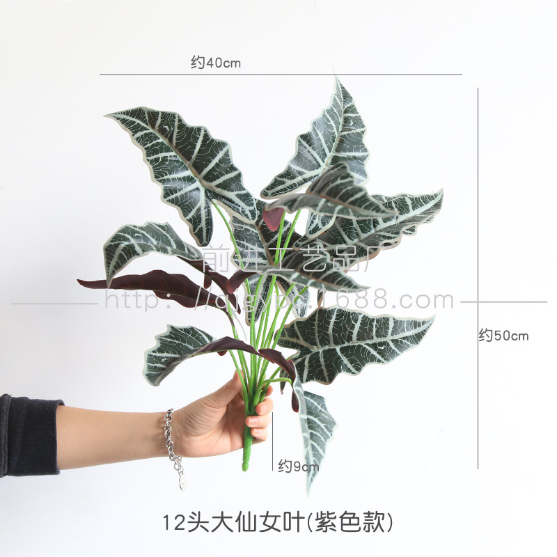 Fairy leaf purple