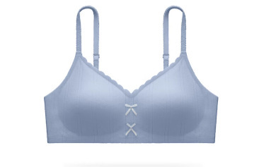 内衣女小胸聚拢2025新款无钢圈胸罩防下垂收副乳女生夏薄款文胸|undefined