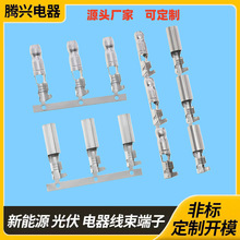 3.96�g���ӏ��^���� �䉺��� �������B�������� ���ؾ��ٌ���