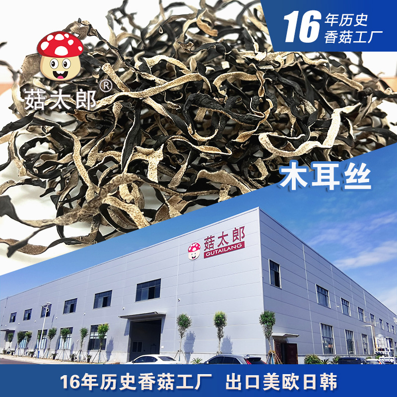 源头工厂精选白背木耳丝无根出口3mm宽木耳丝螺蛳粉干木耳丝