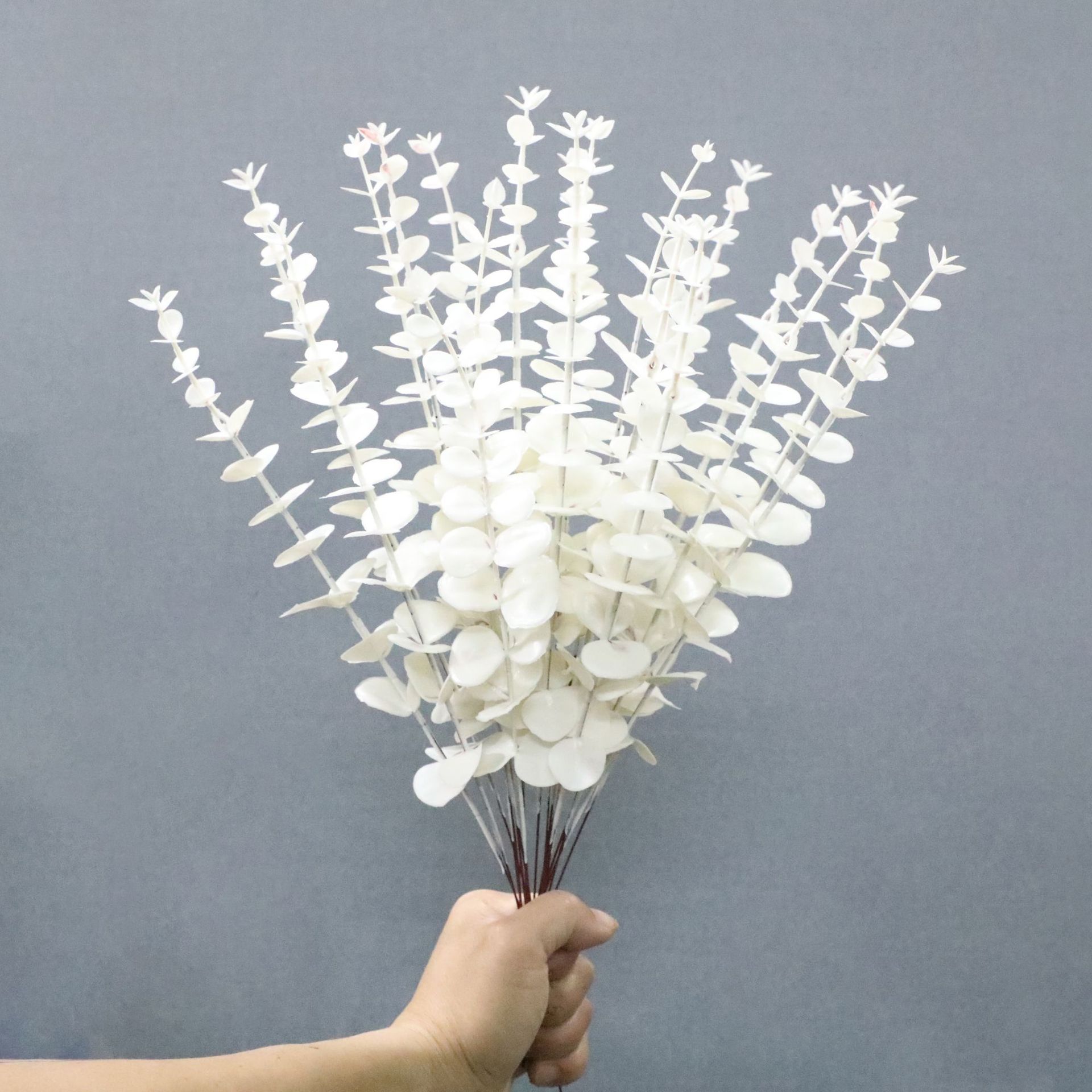 화이트싱글 유칼립투스 016