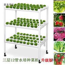 2�ܵ�ˮ���߲˷N�˙C�̨�Ԅӻ��o�������O�����ˮ���Nֲ��̫��