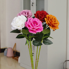 情人节单支珍珠绒布玫瑰花墙瀑布仿真花假花插花家居装饰跨境详情5