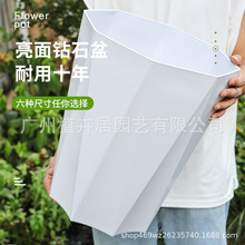 �羳���Q���������B�����ʯ��ɢβ����������Ѫ���ڏ��Gֲ����