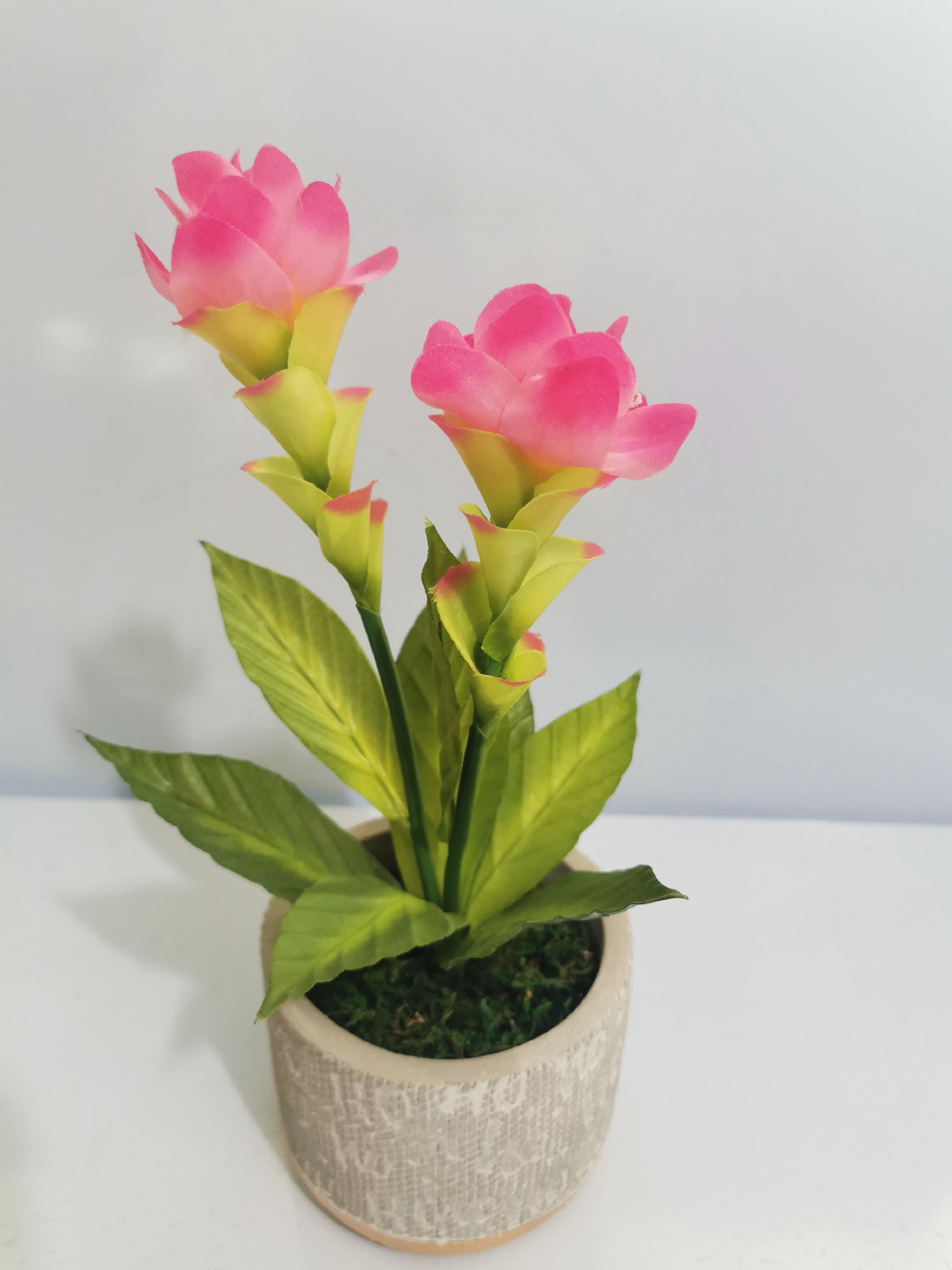 微信图片_20220301134656