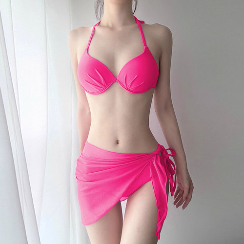 Internet-famous style small bust steel-boned push-up bikini swimsuit women's hot spring bathing summer slimming spicy girl vacation beach swimwear