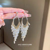 Silver needle, crystal, fashionable advanced earrings, European style, high-quality style, light luxury style, wholesale